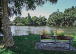 Homely Kings Park Apartment, фото 12