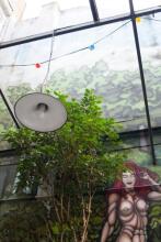 La Morada, фото 9