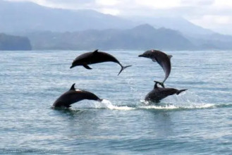 Cabañas Valeska, фото 17