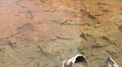 Principe Terme, фото 23 Principe Terme, фото 23