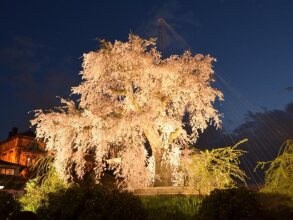 Gion Fukuzumi Ryokan, фото 29