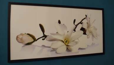 Diamond Astoria 4, Quiet Apartment, фото 24 Diamond Astoria 4, Quiet Apartment, фото 24