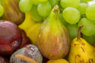 Hotel Greif, фото 22