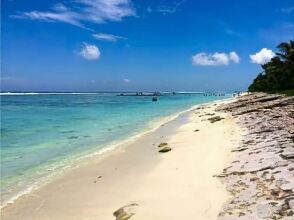 Koamas Lodge, фото 33