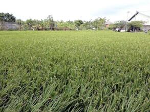 Nakula Stay Kuta, фото 6