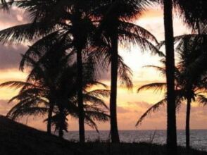 Hotel Coco Beach, фото 30 Hotel Coco Beach, фото 30