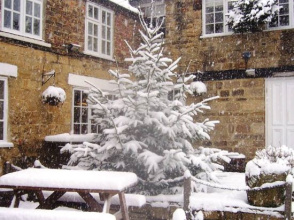 The Forresters Arms, фото 10