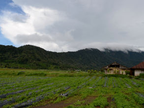 Dajan Buyan Homestay, фото 26