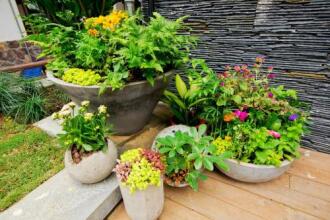 Fushengtang Inn, фото 12 Fushengtang Inn, фото 12