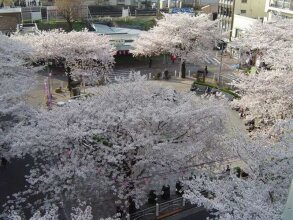 Bougainvillea Itabashi, фото 11