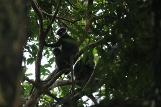 The Crowded House, фото 19 The Crowded House, фото 19