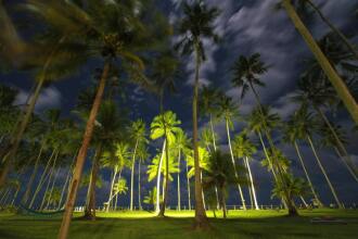 Pontal Dos Carneiros Beach Bungalows, фото 22