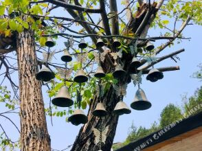 Beijing Yuyou Valley Chunlan's Inn, фото 12 Beijing Yuyou Valley Chunlan's Inn, фото 12