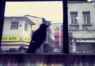 Sub Karakoy, фото 50 Sub Karakoy, фото 50