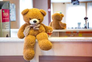 Green-Hotel, фото 15