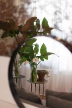 Franca City Hostel, фото 19 Franca City Hostel, фото 19