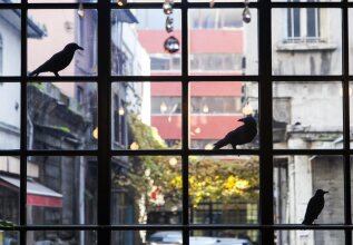 Sub Karakoy, фото 49 Sub Karakoy, фото 49