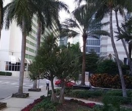 Beautiful Miami 1200 Brickell 2 Bedroom 2 Bathroom Apartment in the Sky Sleeps 4, фото 5