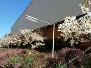 Jenolan Holiday Park - Campsite, фото 23