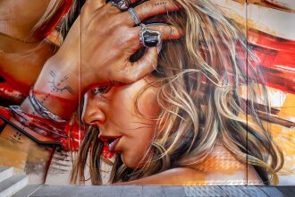 Art Series - The Adnate, фото 4