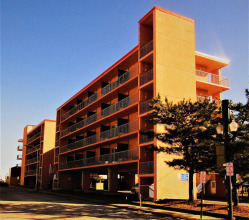 Americana Motor Inn, фото 36 Americana Motor Inn, фото 36