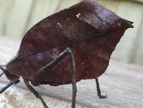 Cabañas Valeska, фото 43