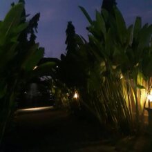 Palm 57 Guest House, фото 36