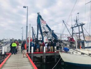 Black Swan Motor Inn, фото 20 Black Swan Motor Inn, фото 20