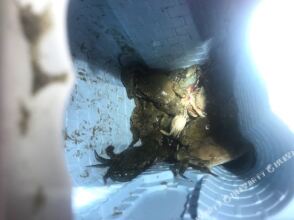 Minuosi Seaview Hotel, фото 4