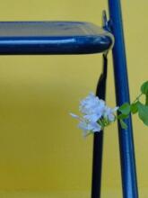 Pousada 100 Passos, фото 48