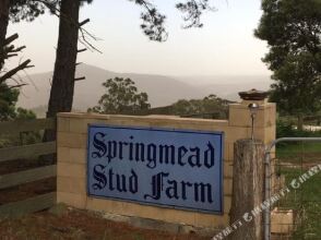 Springmead B&b, фото 37