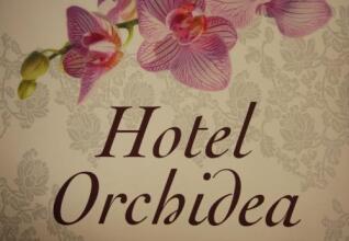 Hotel Orchidea, фото 7