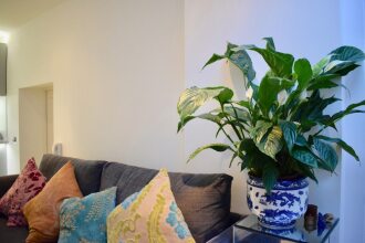 Bright 2 Bedroom Kennington Flat With Garden, фото 3