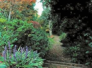 Woolrich Historic Garden Accommodation, фото 5 Woolrich Historic Garden Accommodation, фото 5