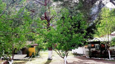 Papatya Pension Bungalow, фото 22