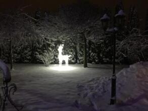 Bortnichi House, фото 22 Bortnichi House, фото 22