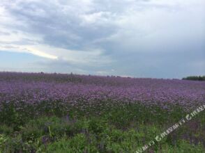 Ji Hotel (Beijing Daxing Airport), фото 26