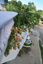 Hotel Margarita, фото 25 Hotel Margarita, фото 25