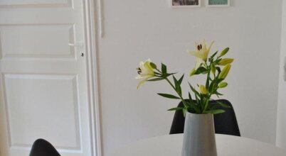 Kapelvej Apartment, фото 19 Kapelvej Apartment, фото 19