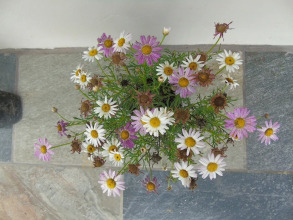 Hotel Margarita, фото 37 Hotel Margarita, фото 37