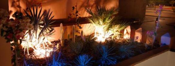 El Bouiba, фото 8 El Bouiba, фото 8