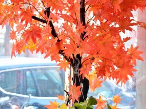 Huaqile Hostel, фото 3 Huaqile Hostel, фото 3