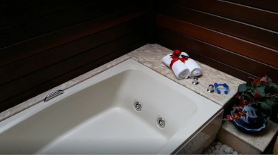 Bromélia Sabiá & Cia, фото 23 Bromélia Sabiá & Cia, фото 23