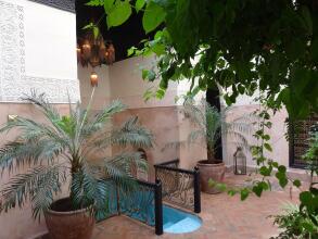 Dar Jaguar, фото 10 Dar Jaguar, фото 10