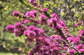 Domaine des Remparts Hotel & Spa, фото 12 Domaine des Remparts Hotel & Spa, фото 12