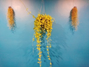 BGW Phuket, фото 26