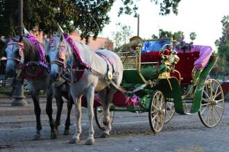 Riad Awinati, фото 30 Riad Awinati, фото 30