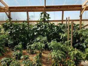 Sleep For Less Motel, фото 10