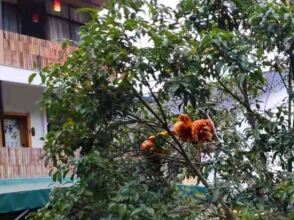 Chanxin Chanyue Hostel, фото 4 Chanxin Chanyue Hostel, фото 4