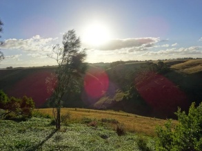 Cobden Crest Cottages, фото 19